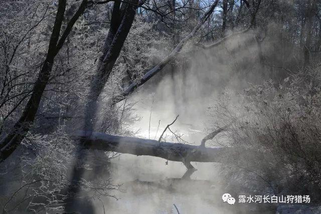 肖远企:对于风险较高的中小银行,实施高强度监管逐步使它的风险收敛
