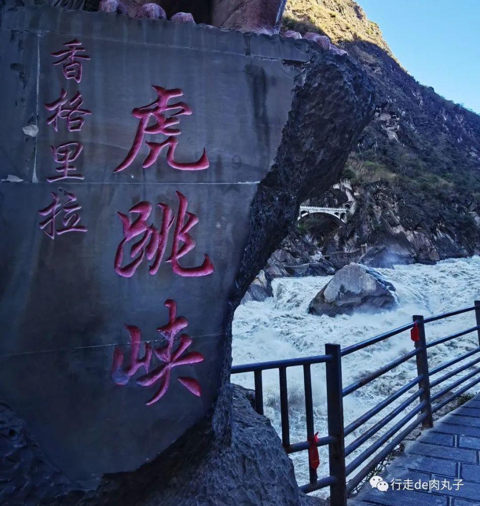 全民烧脑3去广告版