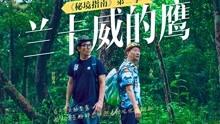 这是是谁，哪个动漫角色？