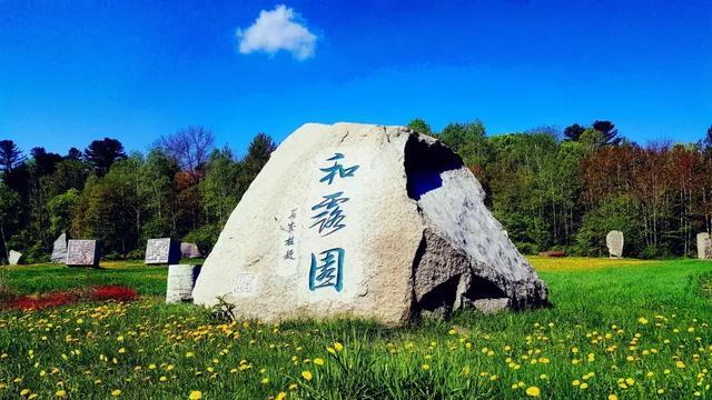 贪吃鼠吃豆豆