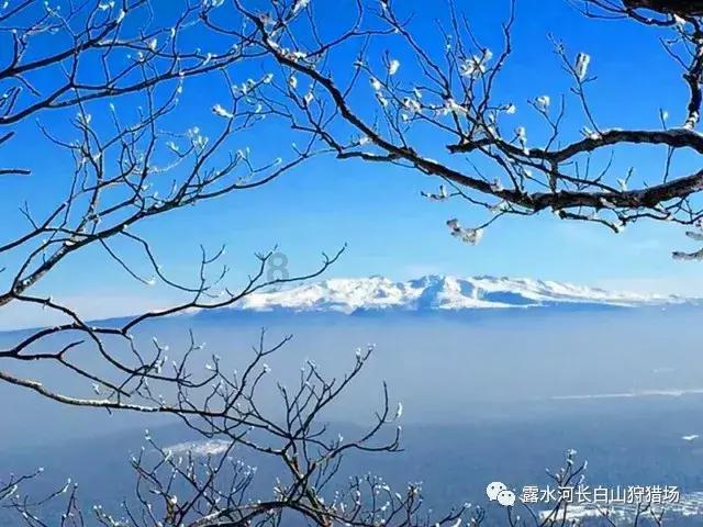 小猫钓鱼游戏龙王版有船