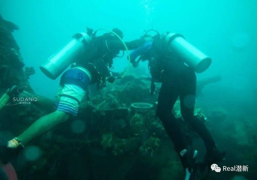 夏季热带海滩逃生
