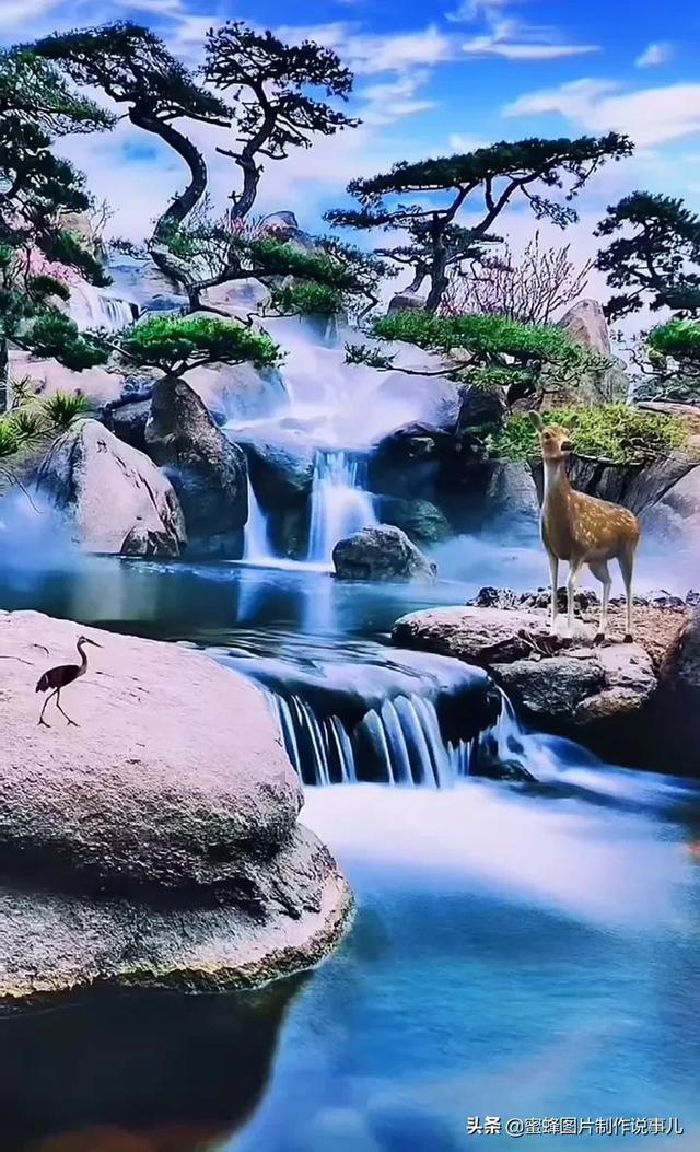 夏季纽扣裙