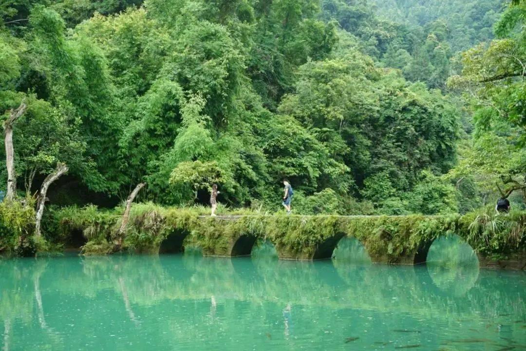 动物拼一拼
