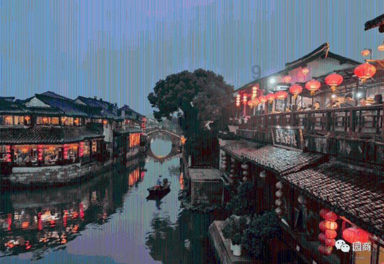 植物大战僵尸21